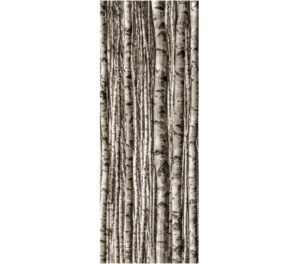 Dekor ścienny Tubądzin 89,8x239,8 cm Birch tubDekBir90x240