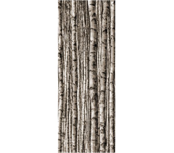 Zdjęcie Dekor ścienny Tubądzin Birch 89,8×239,8cm tubDekBir90x240