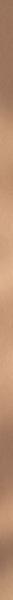 Uniwersalna listwa metalowa Paradyż Intense tone Gold Mat profil 2x89,8 cm (p)