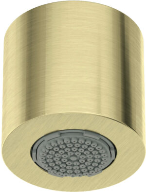 Główka prysznicowa 1-funkcyjna złoty szczotkowany NQS_R30K Deante Silia